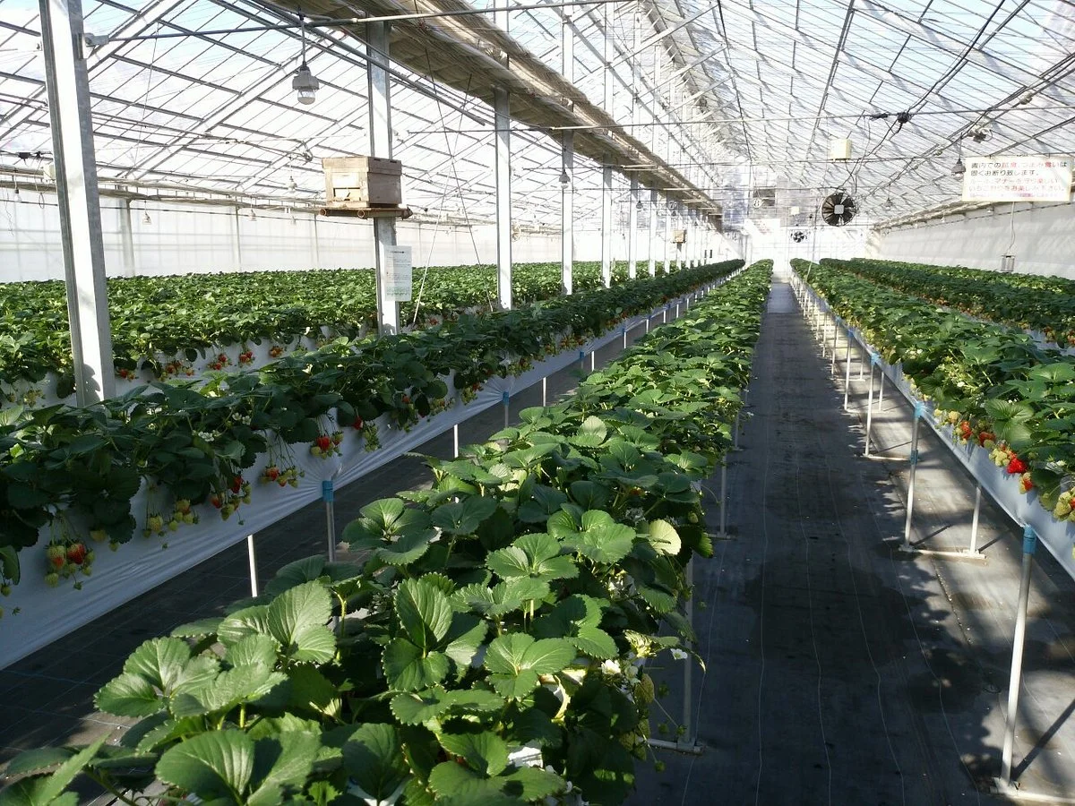 Yukiguni Agripark Yuzawa Ichigo-mura