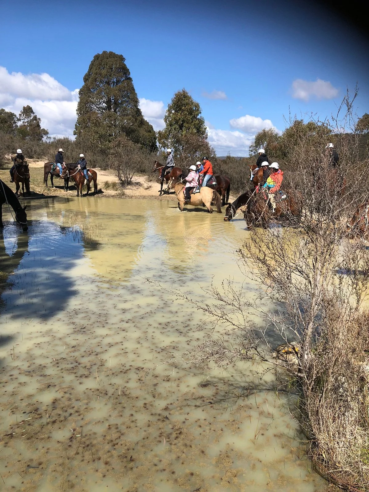 Snowy Wilderness Horse Riding
