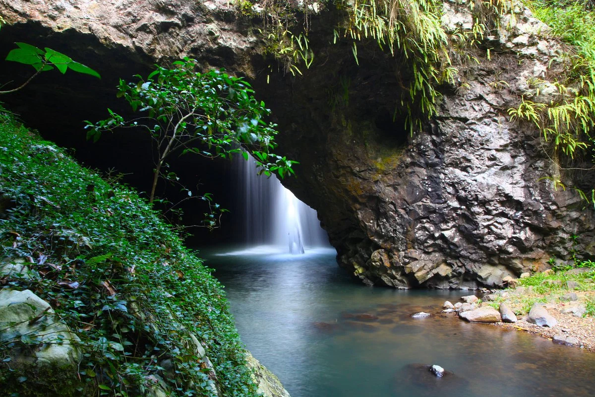 Wildside Tours