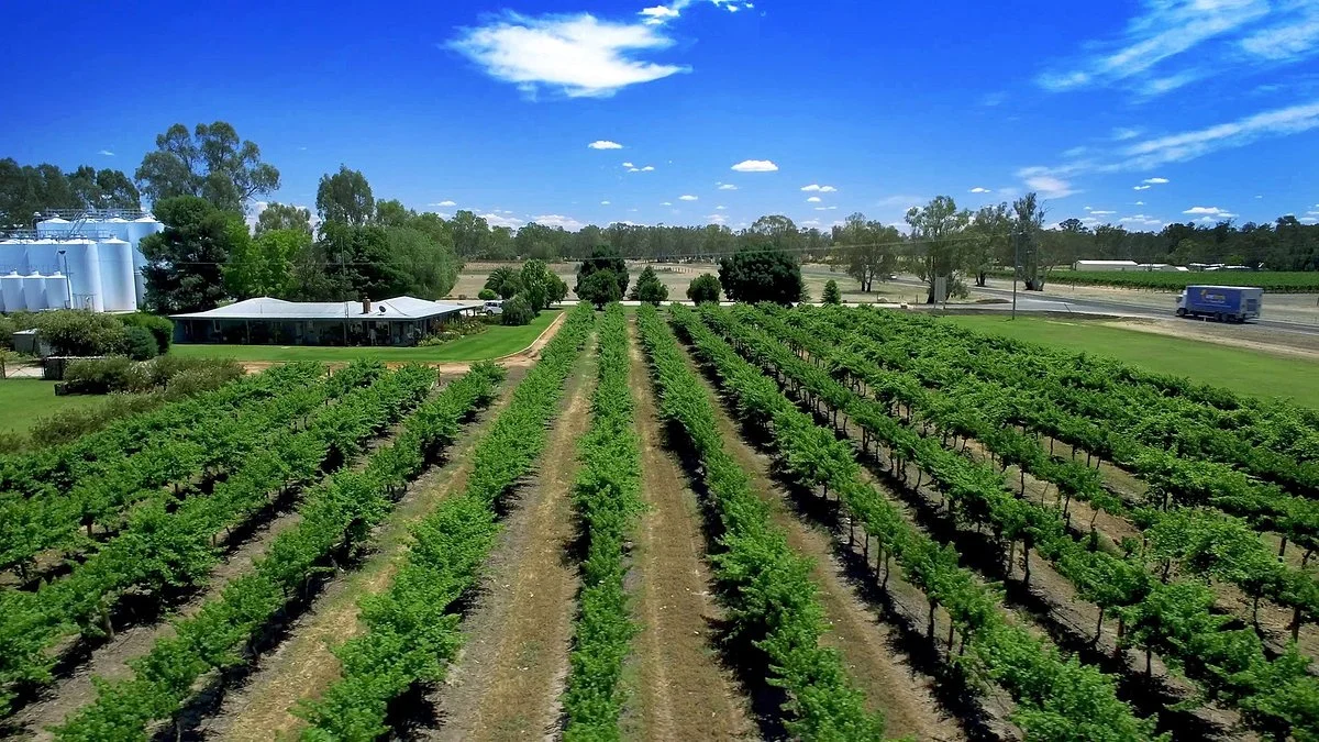 Andrew Peace Wines