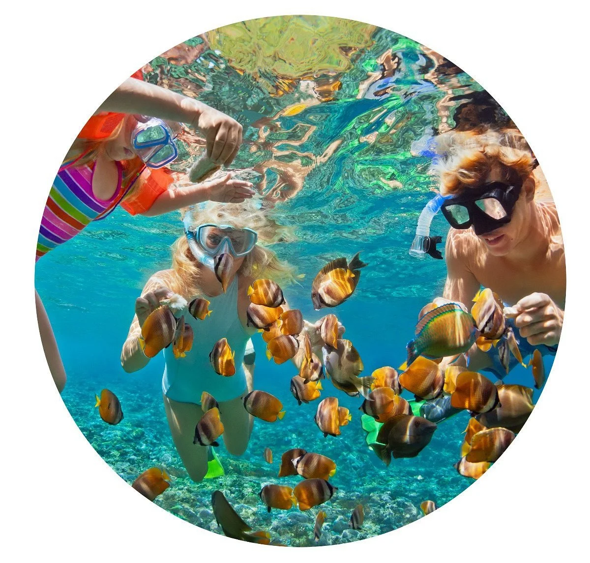 Airlie Beach Dive Centre
