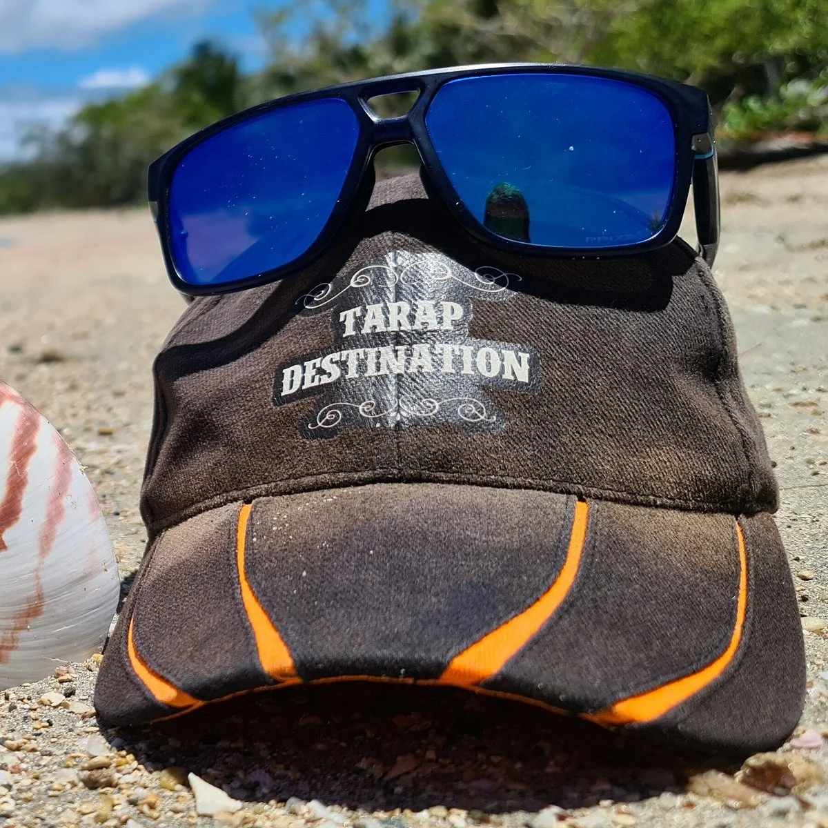 TARAP DESTINATION