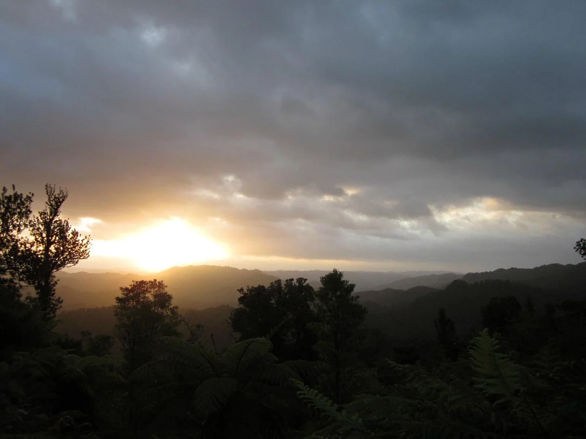 Eastern Taranaki Experience