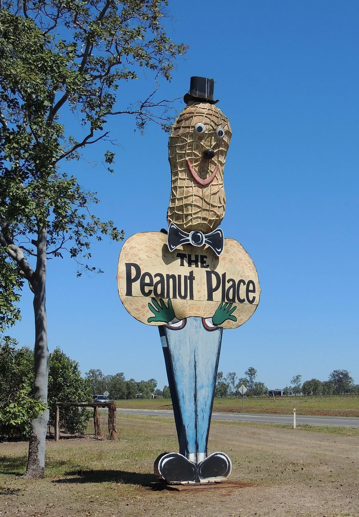 The Peanut Place