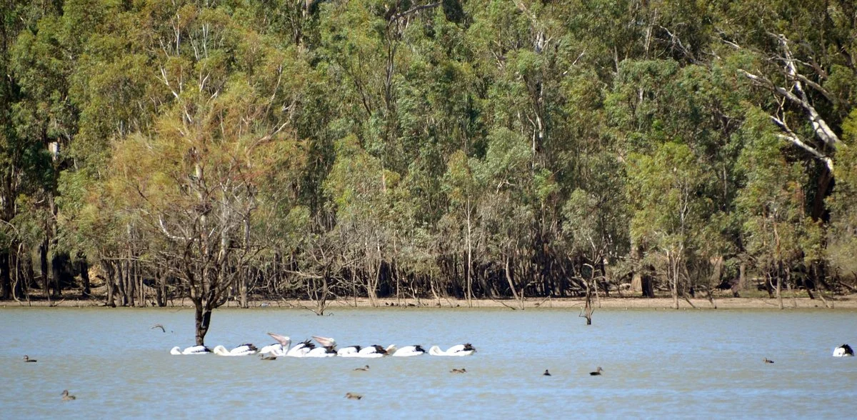 Mallee Tours