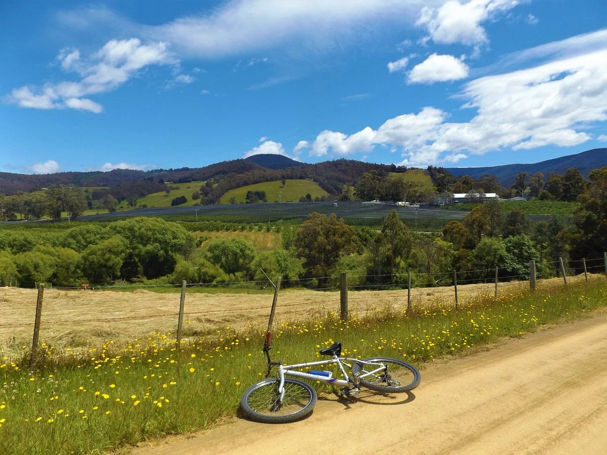 Huon Bikes