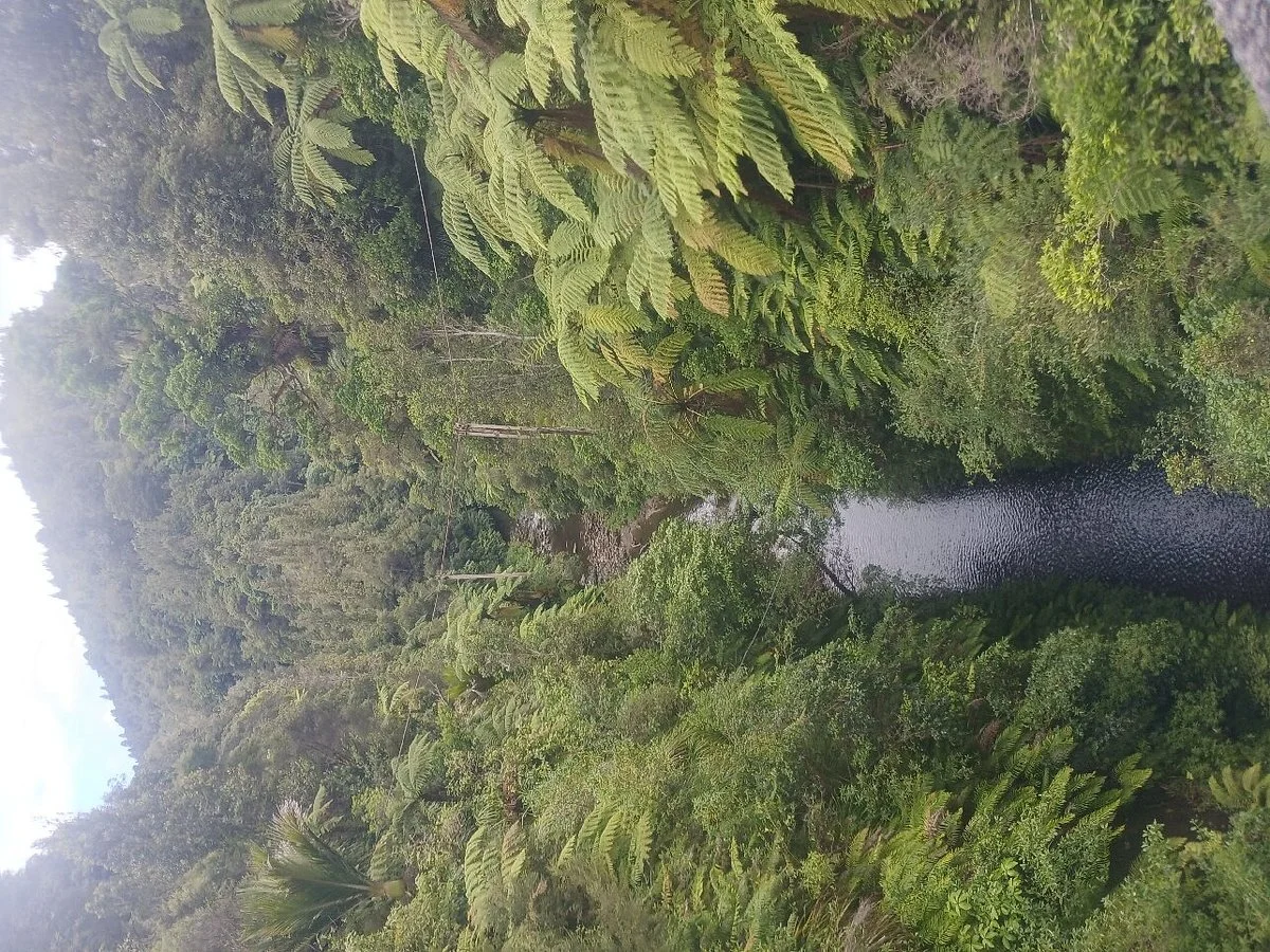 Owhango Adventures
