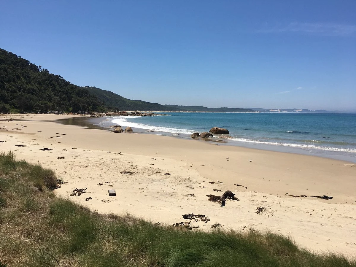 Lakes Entrance Mystery Tours