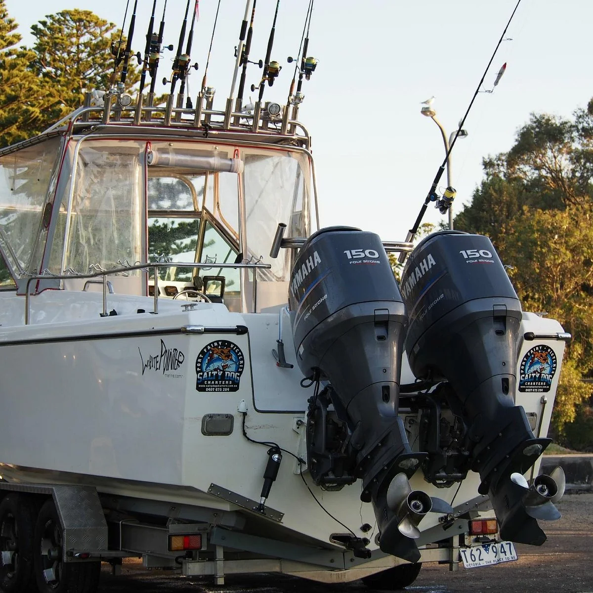 Salty Dog Charters
