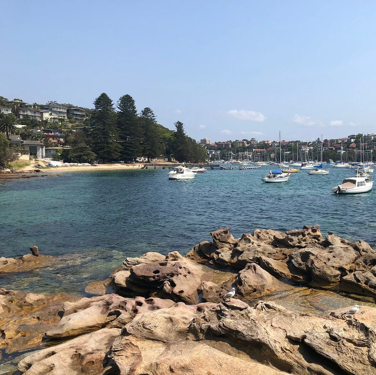 The Spit To Pulpit Rock Walk