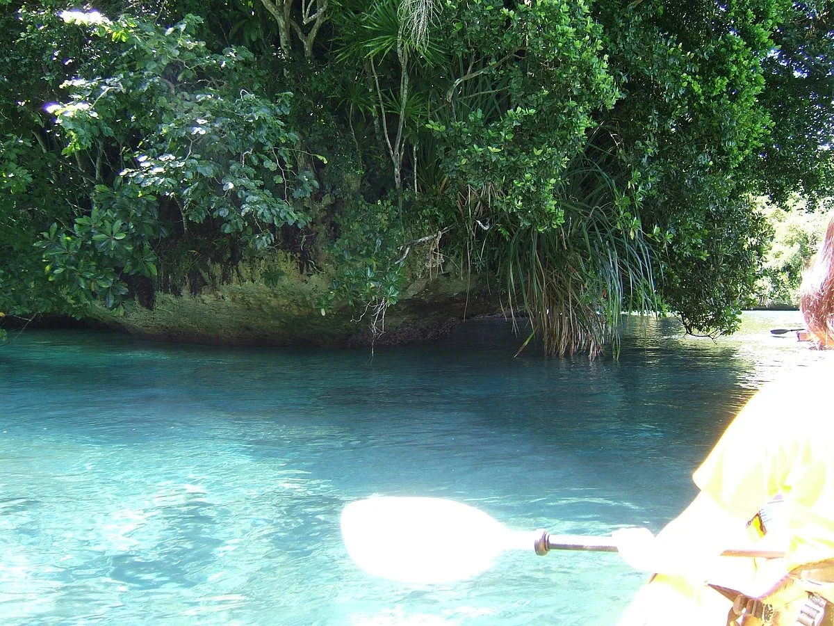 Splash - One Day Tours
