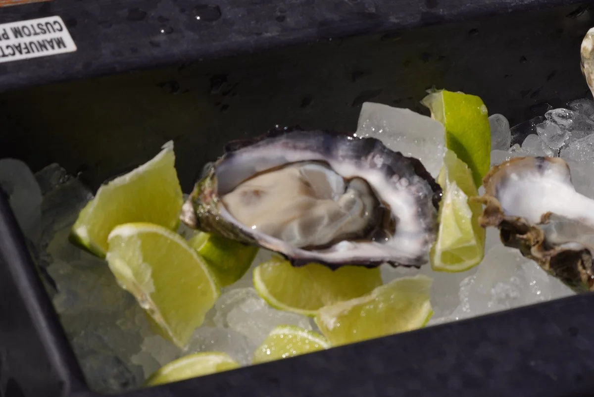 SA Premium Oysters