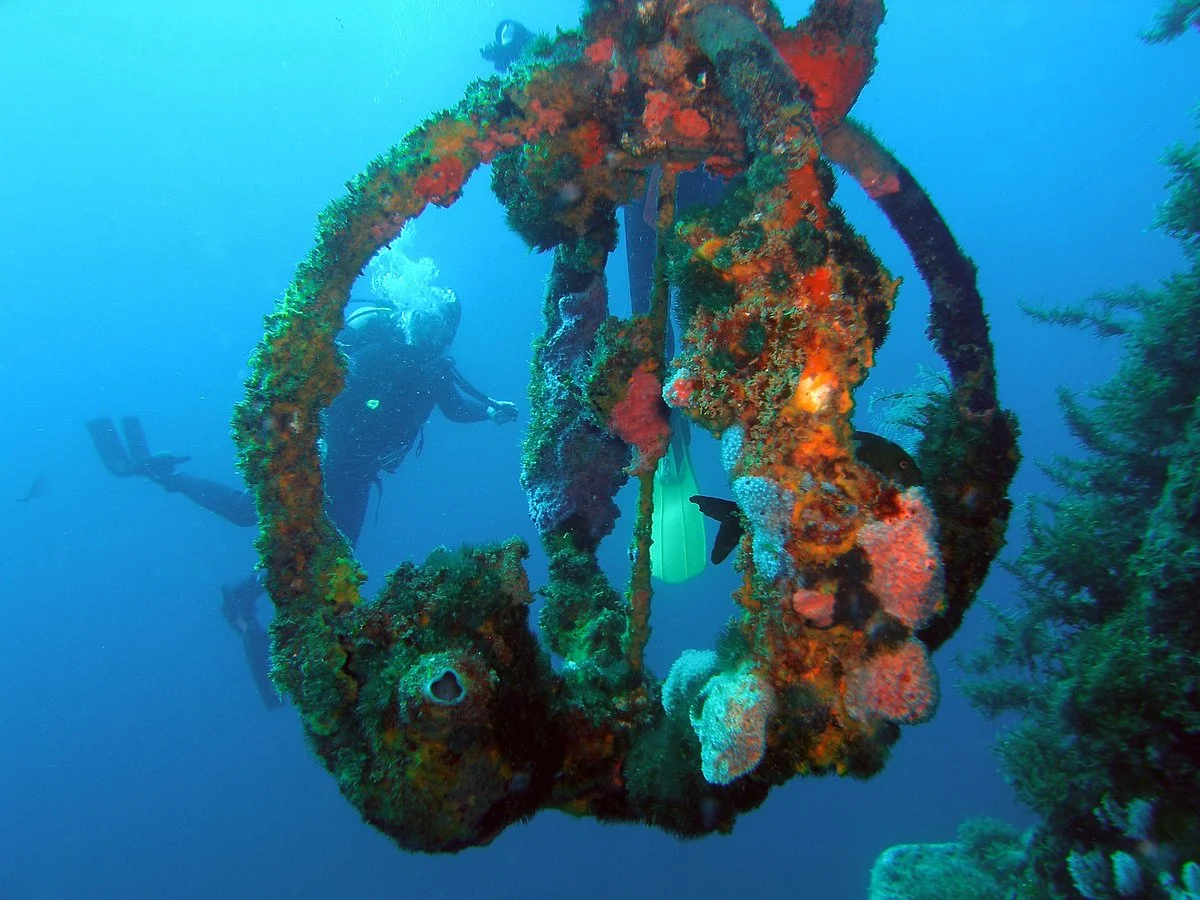 Cape Dive