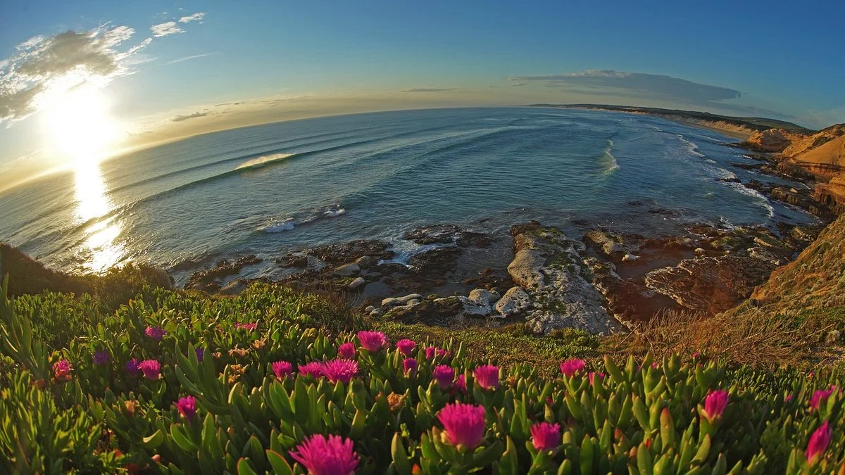 Cape Discoveries