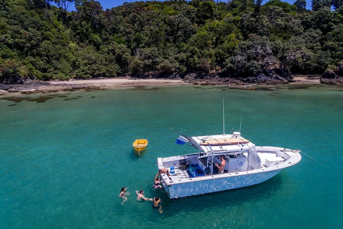 Fish Tutukaka