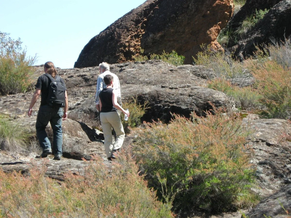 Ando's Outback Tours