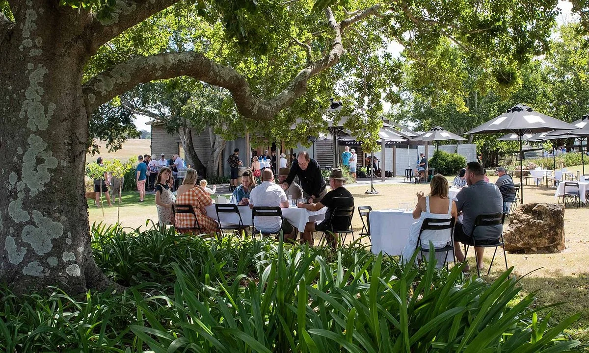 Clovely Estate Vineyard Cellar Door