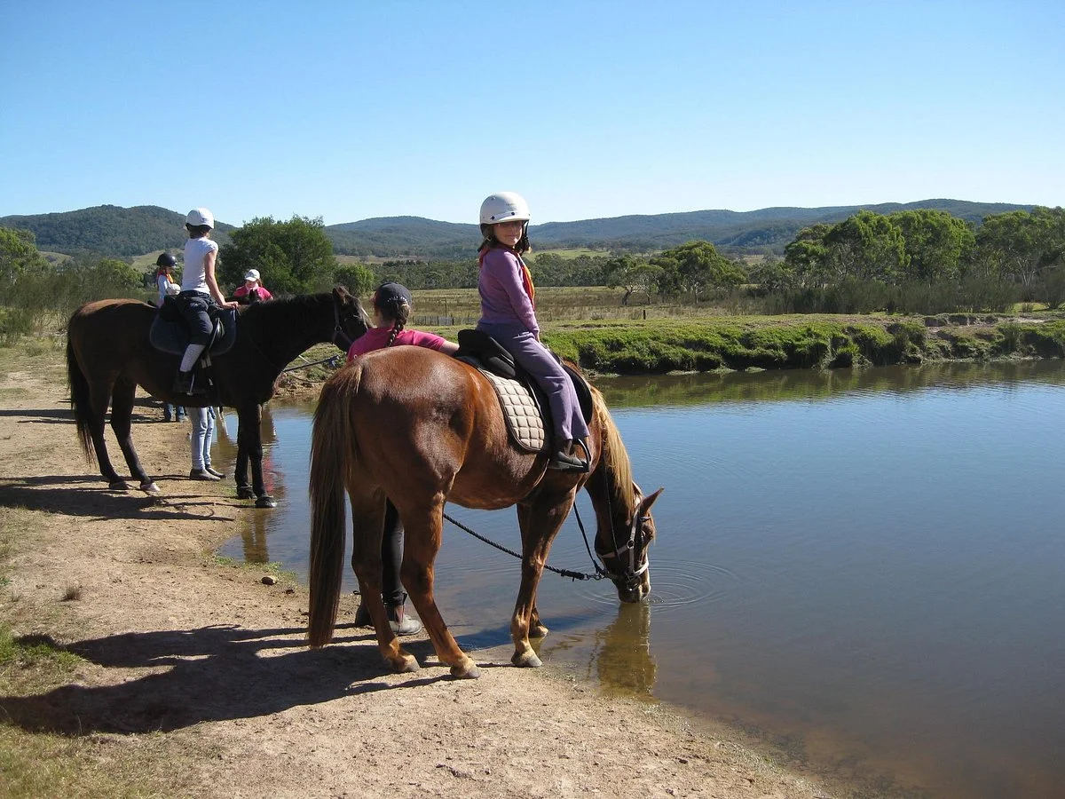 The Saddle Camp