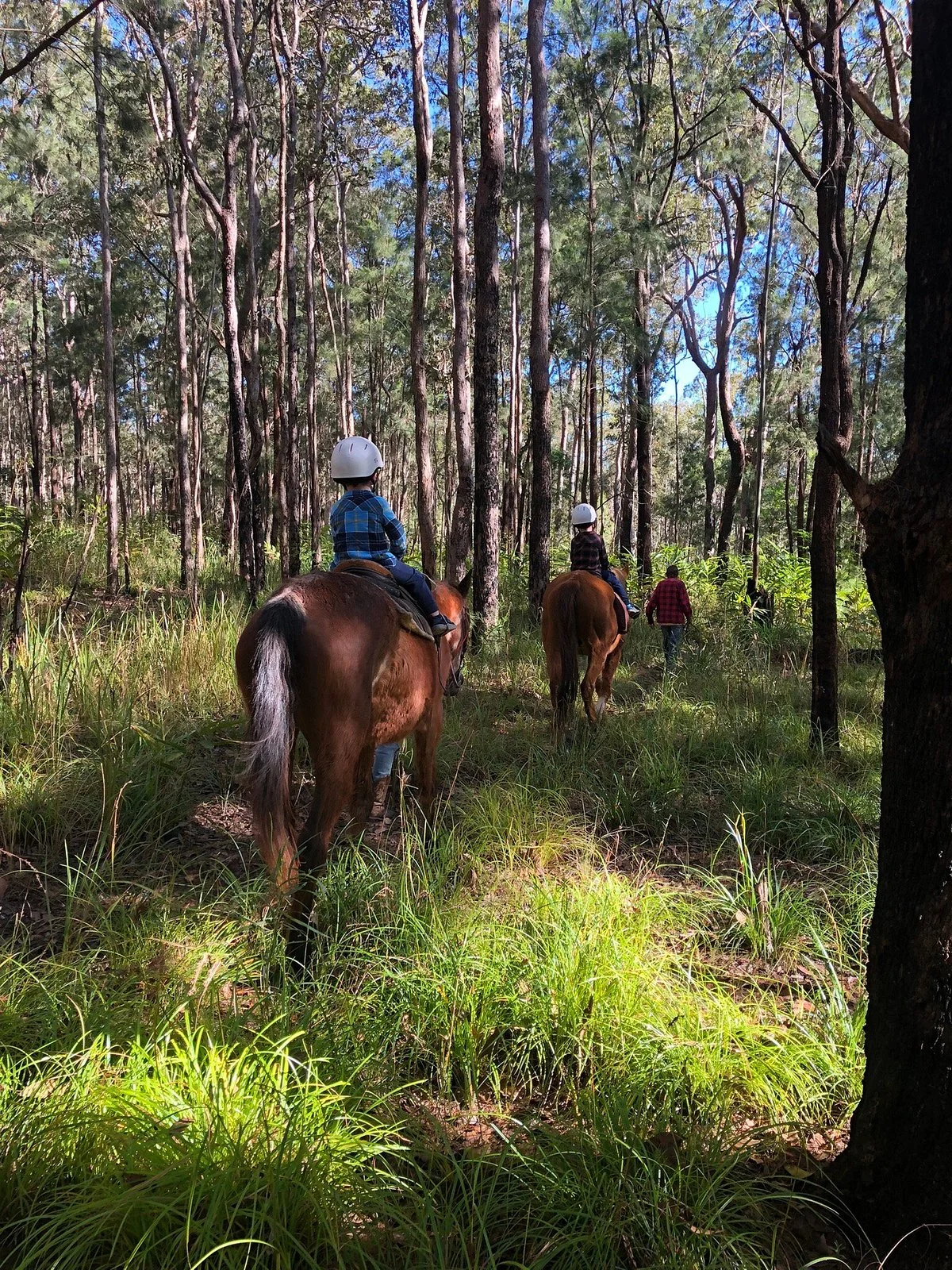 Tait's Wongabel Stables