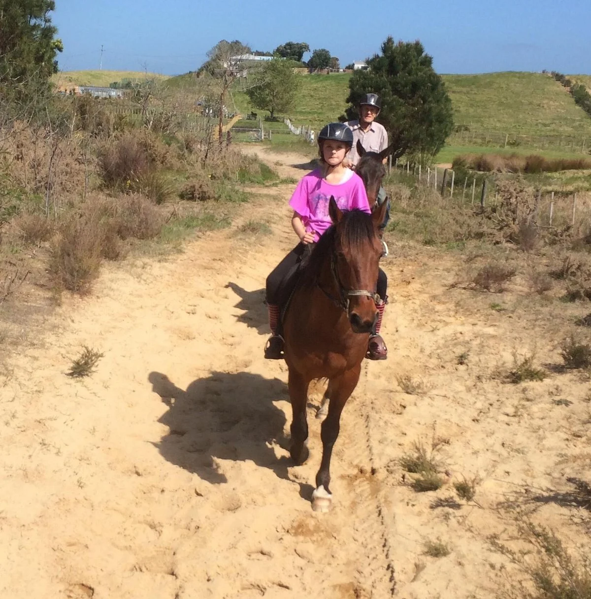 Waipu Horse Adventures