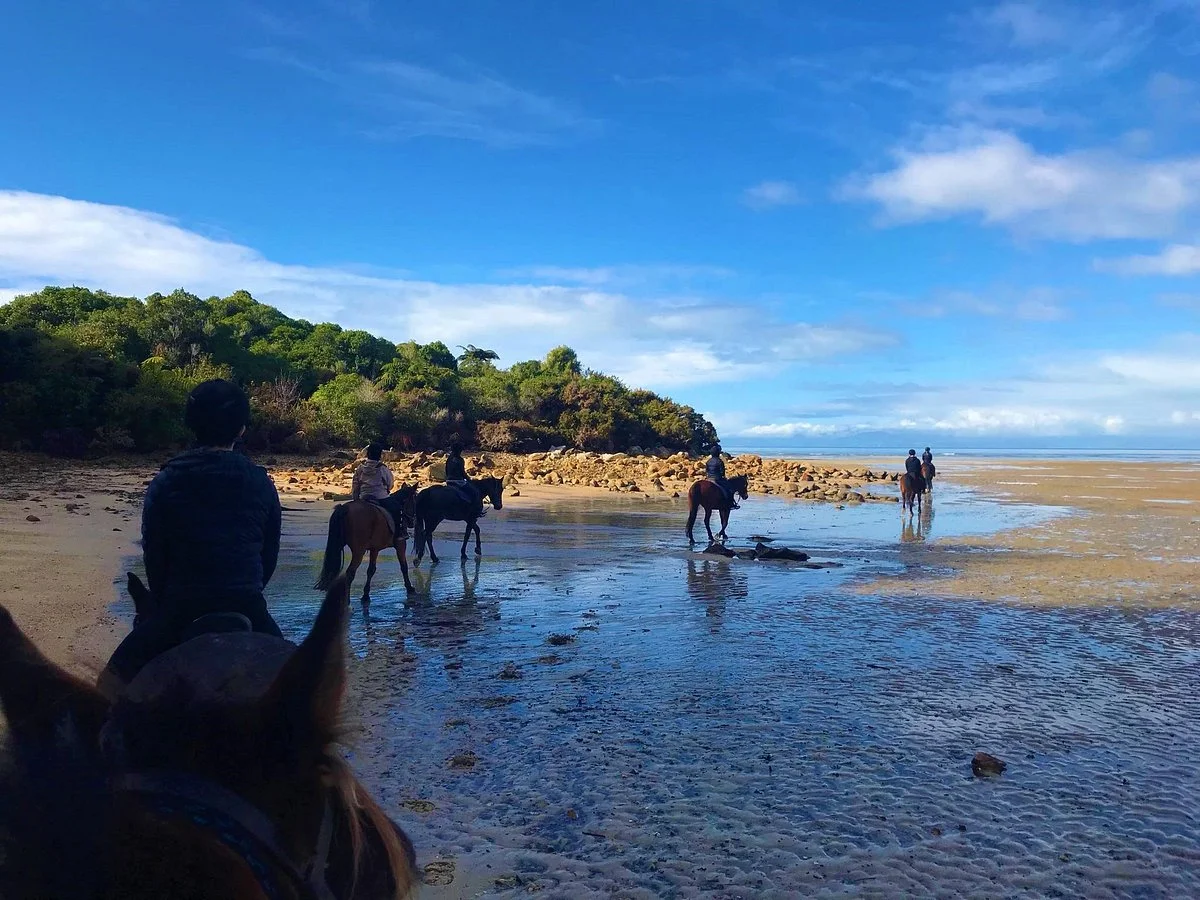 Abel Tasman Horse Trekking