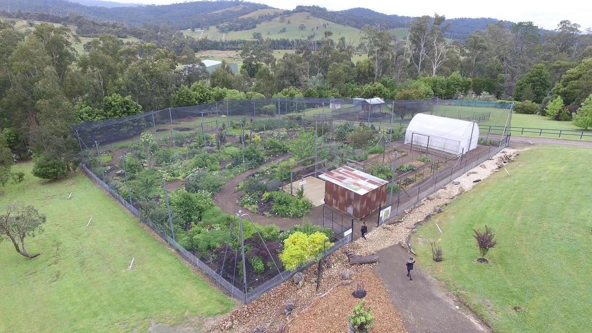 Edible Forest Yarra Valley