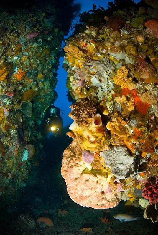 Esperance Diving and Fishing
