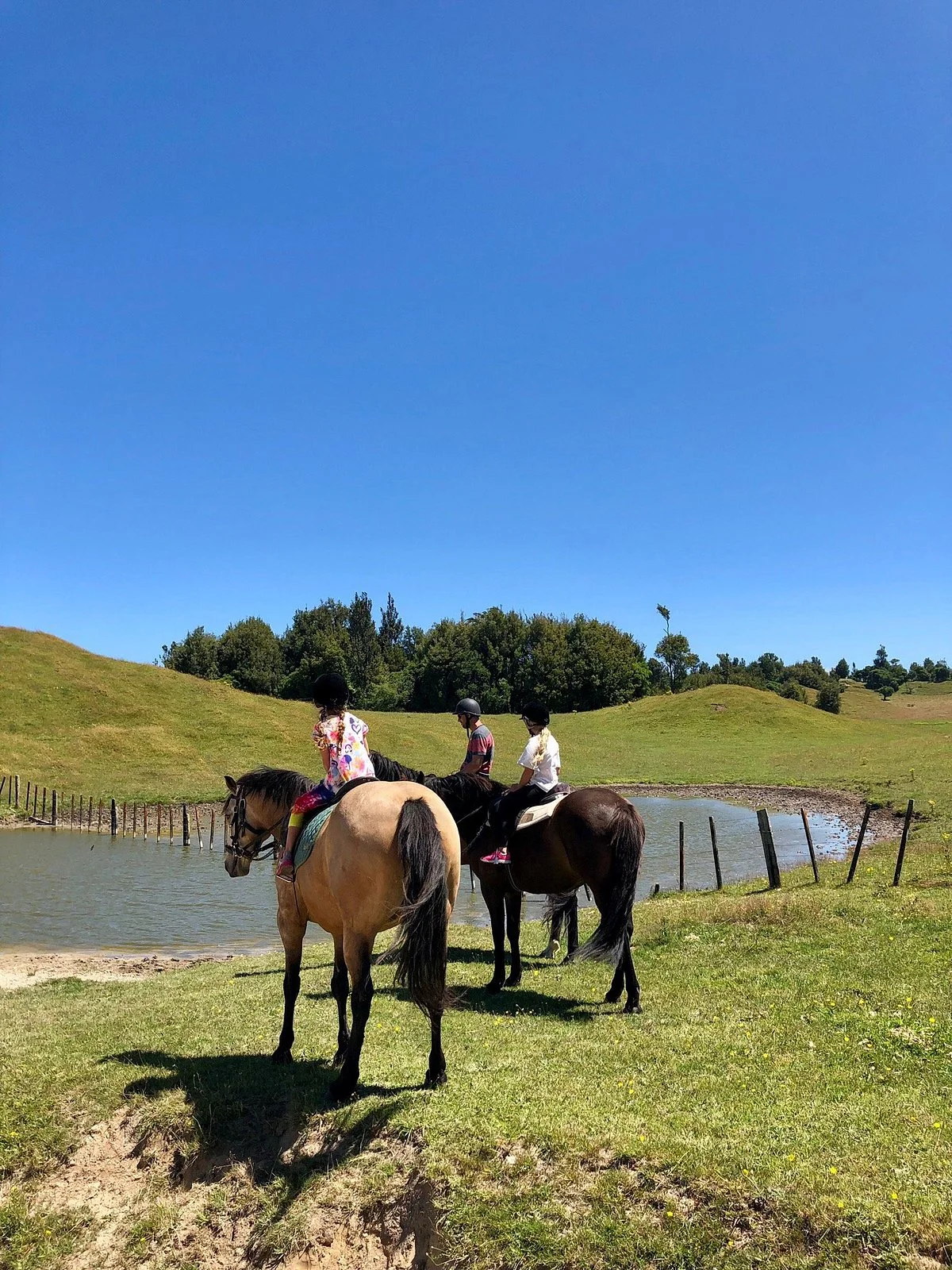 The Farmhouse Rotorua