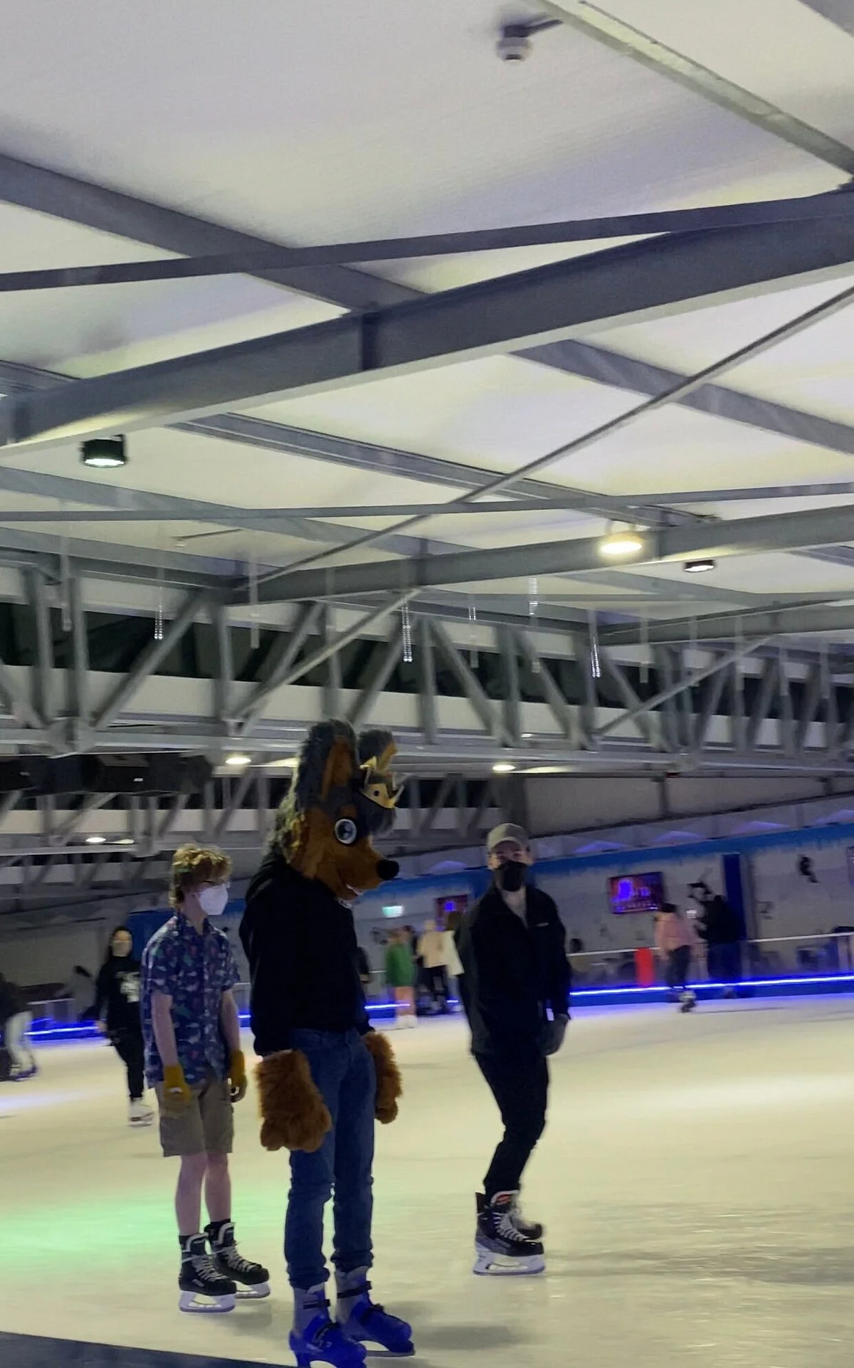 Ice Zoo Ice Rink