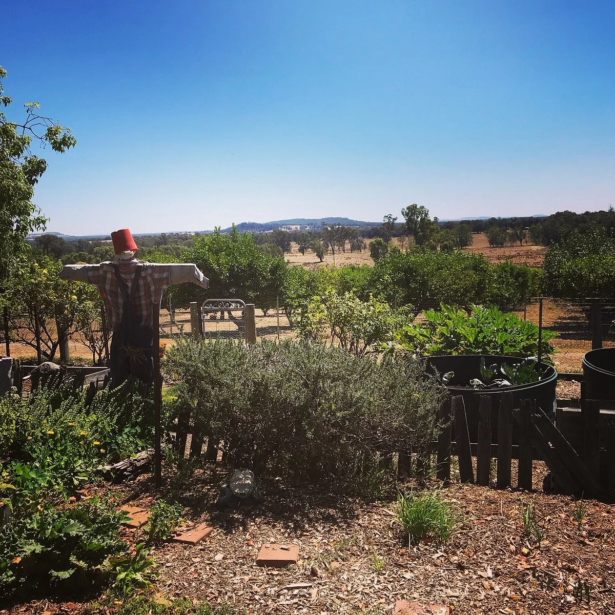 Samaria Farm