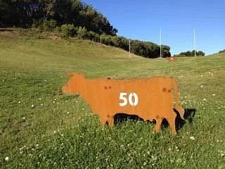 Truemans Golf Range