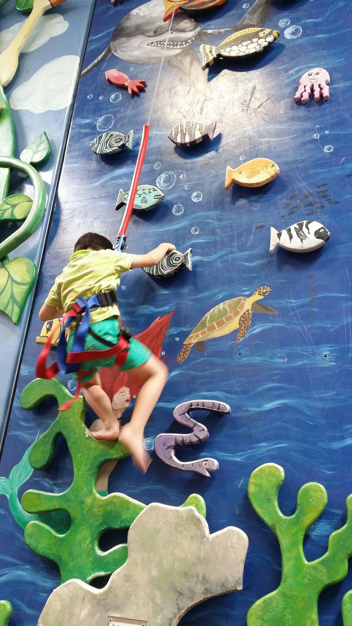 Extreme Edge Rock Climbing