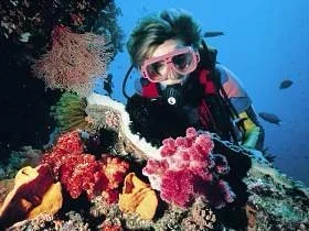 Pure Dive