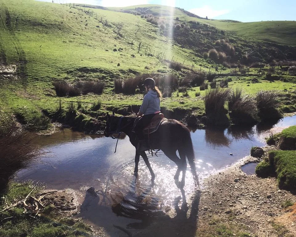 Strathore Horse Treks