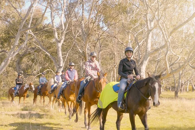 Woodlands Trail Riding