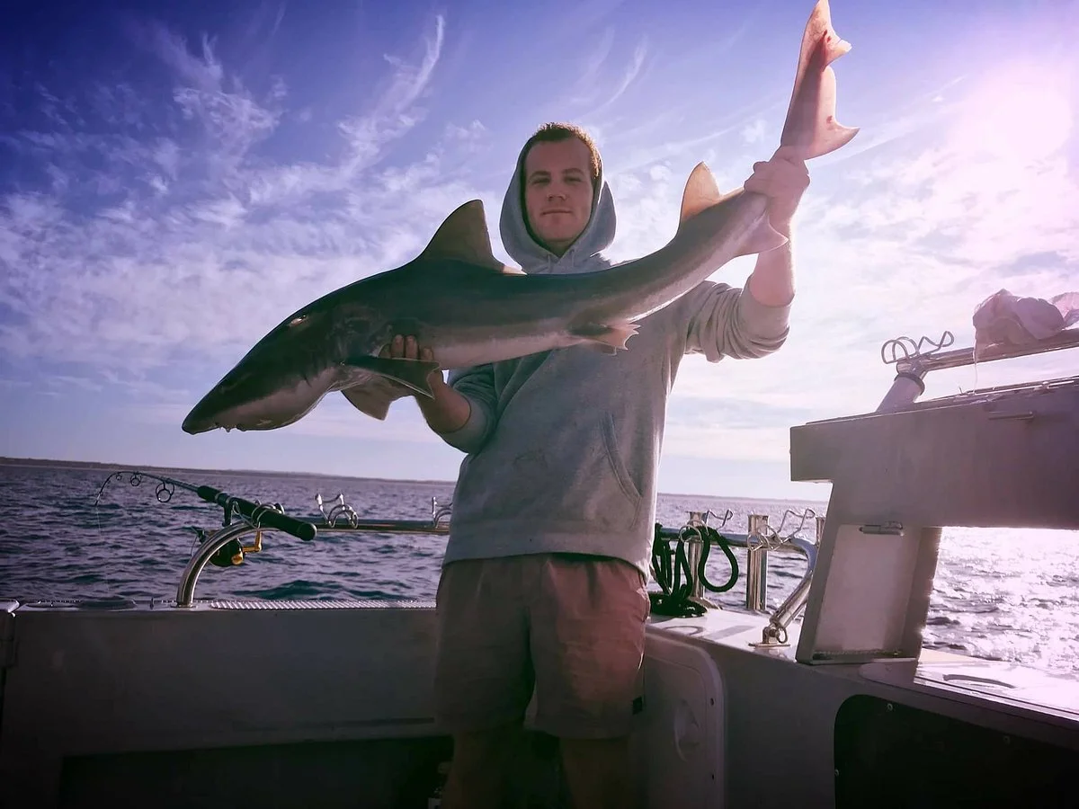 Chase The Bite