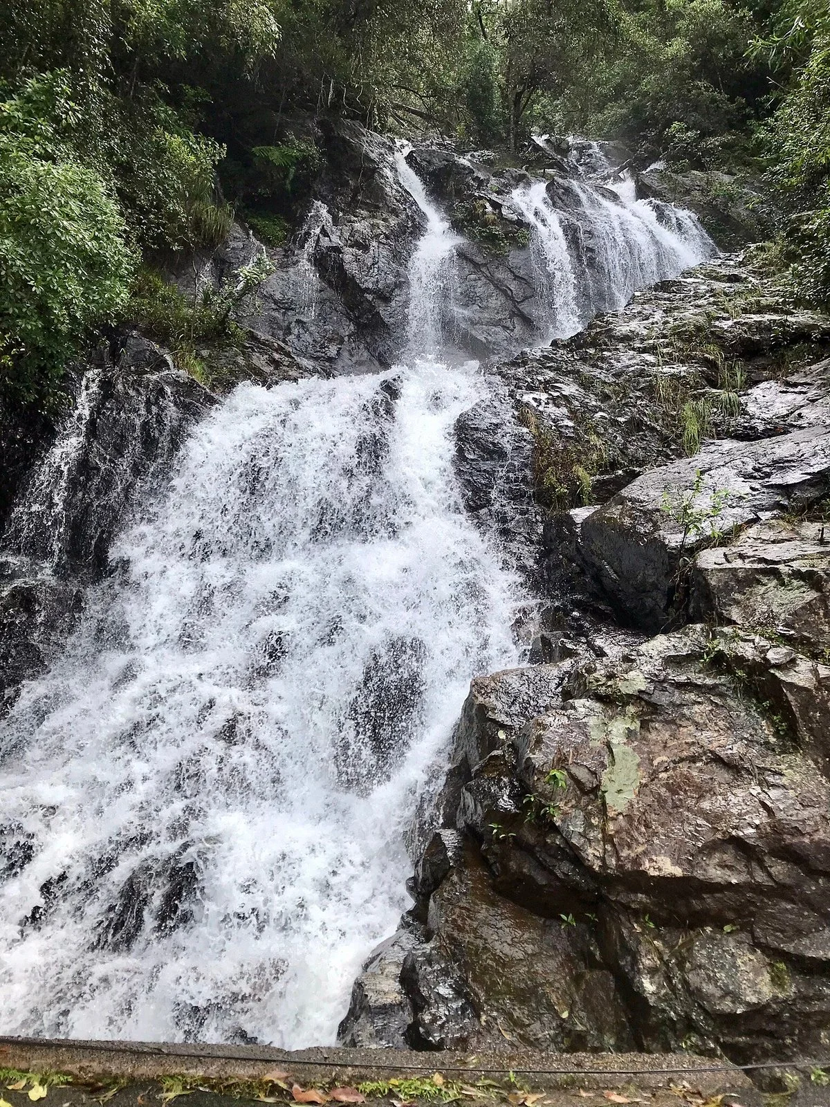 Newell Falls
