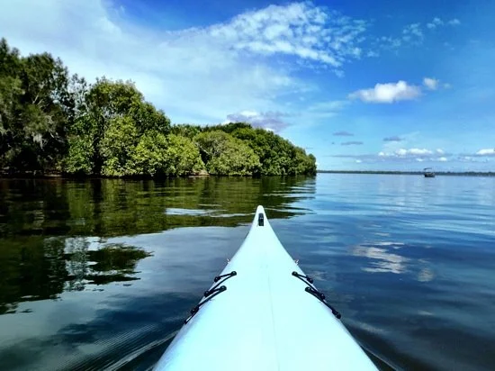 Blue Water Kayak Tours