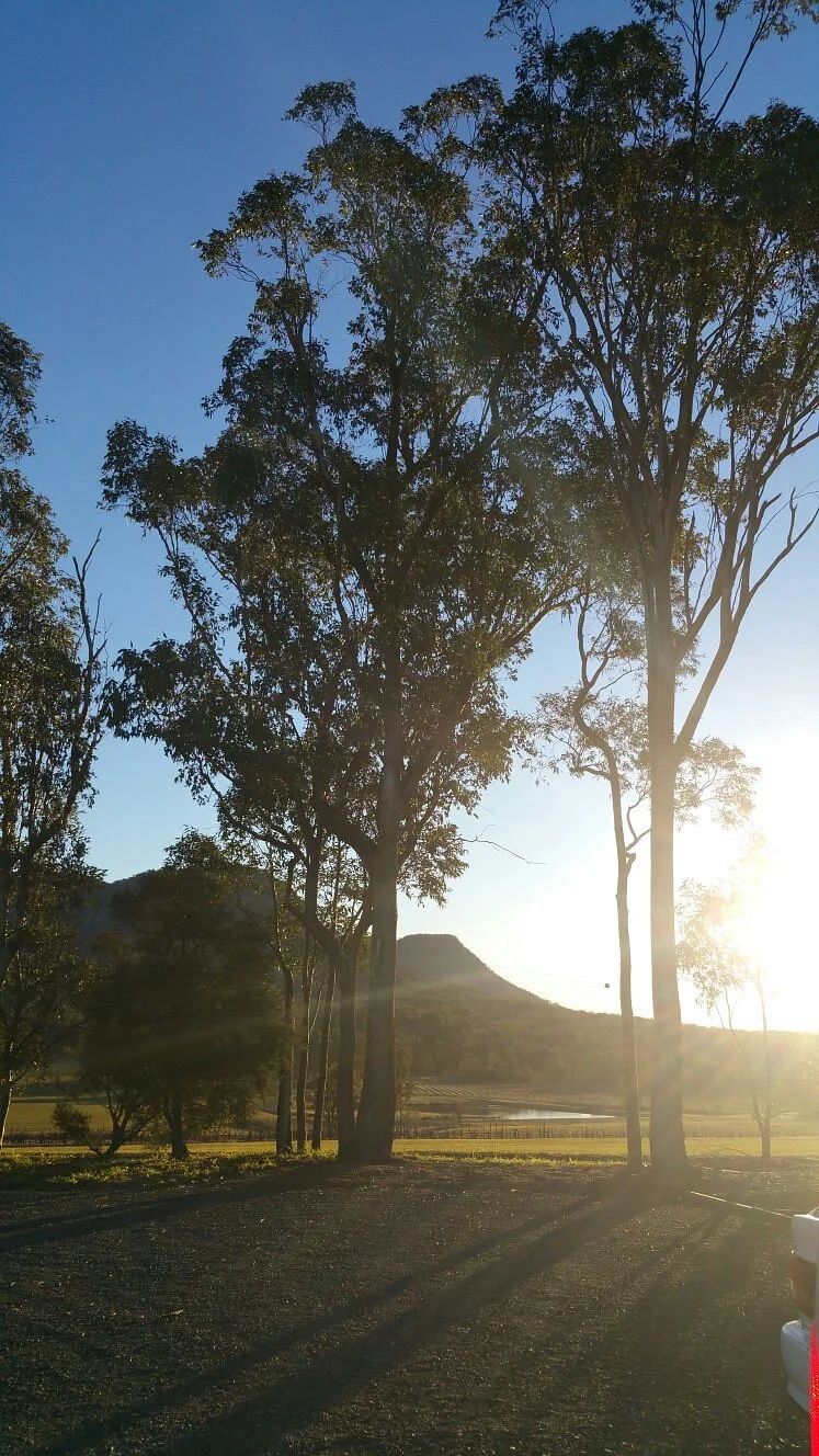 Hunter Valley Vine Link Tours
