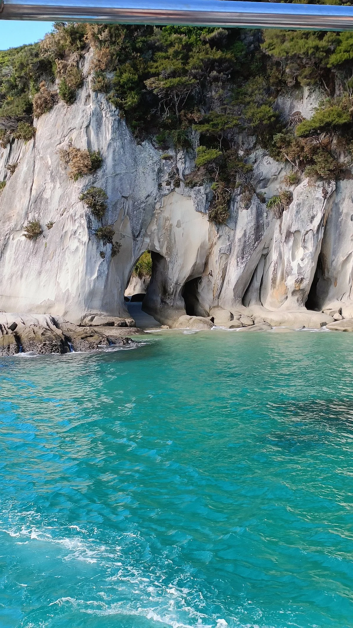 Abel Tasman Eco Tour