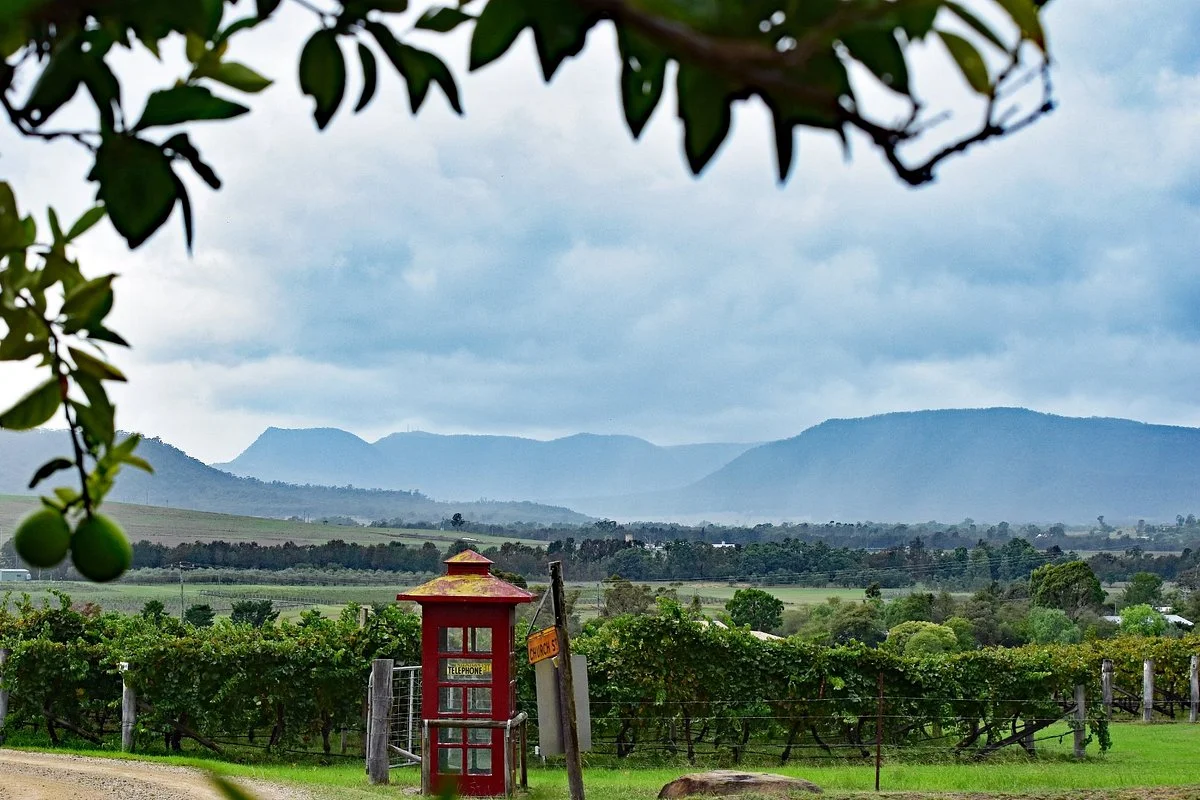 Catherine Vale Wines