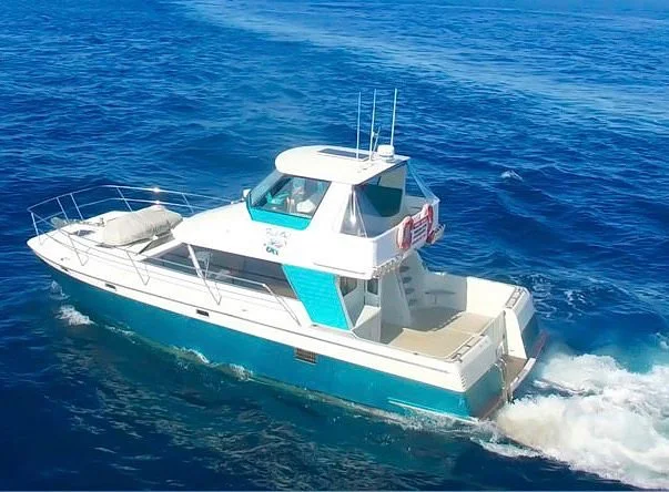 FishOn Charters