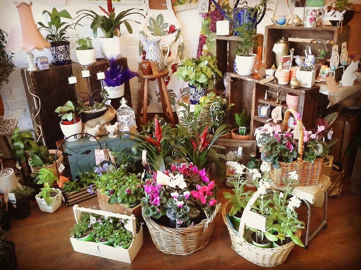 Botanica Romantica