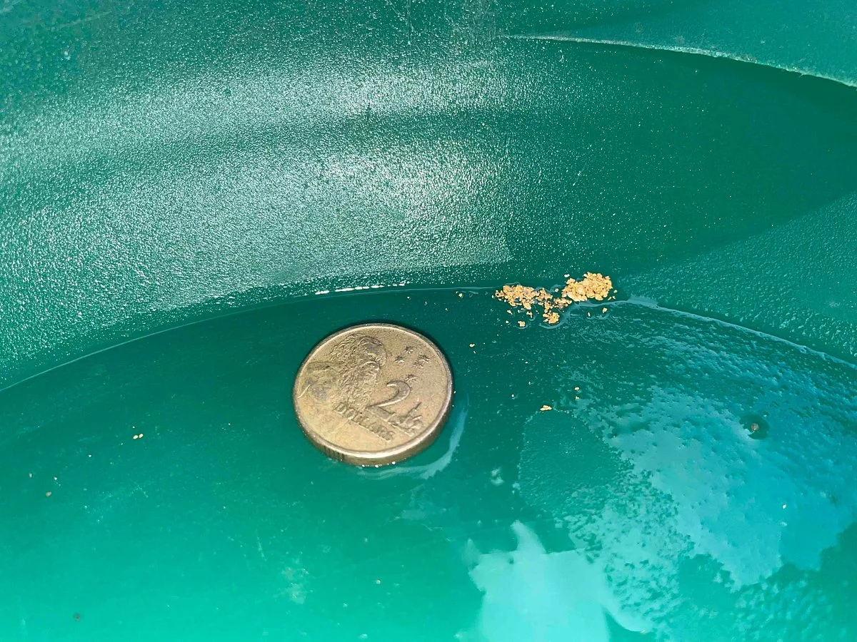 Jhob's Gold Panning Tour - Hill End