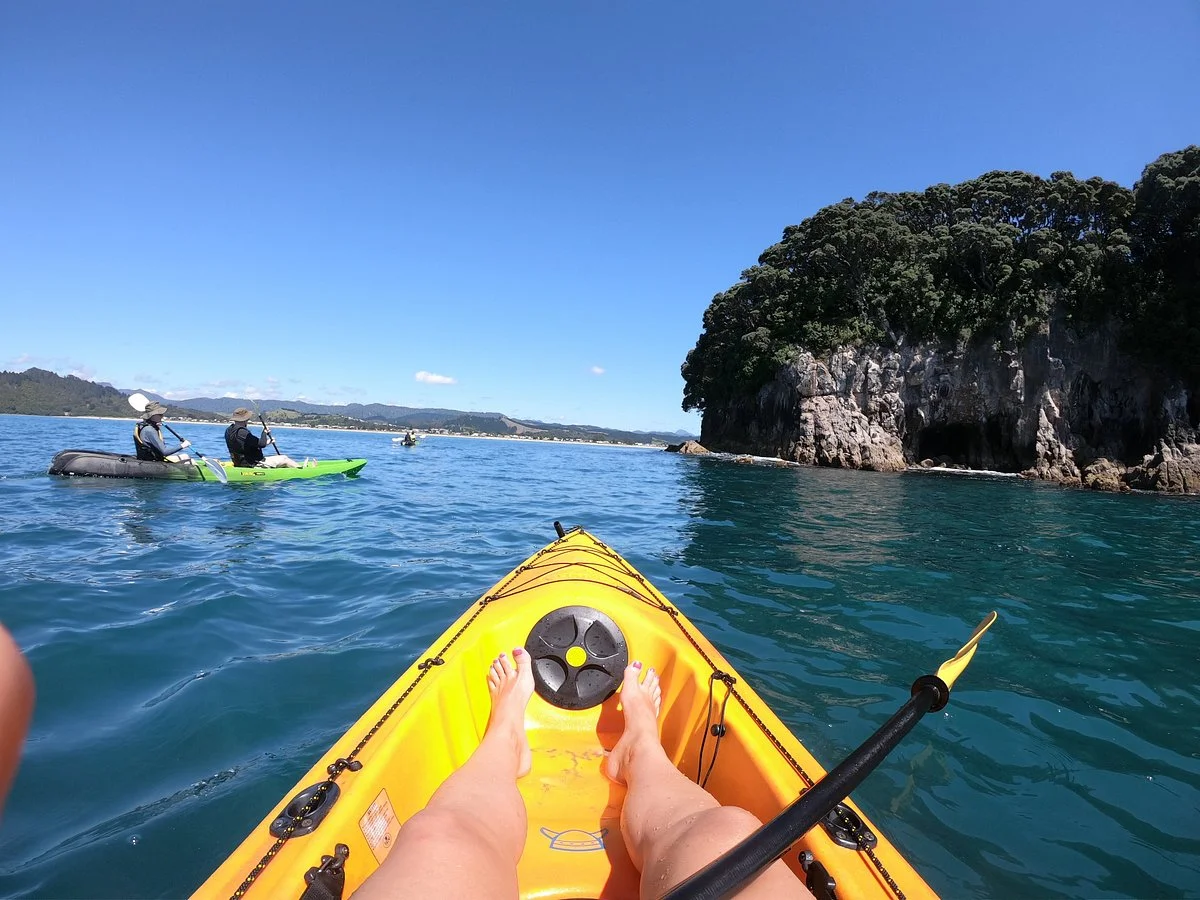 Pedal and Paddle