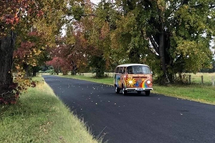 Bellingen Kombi Tours