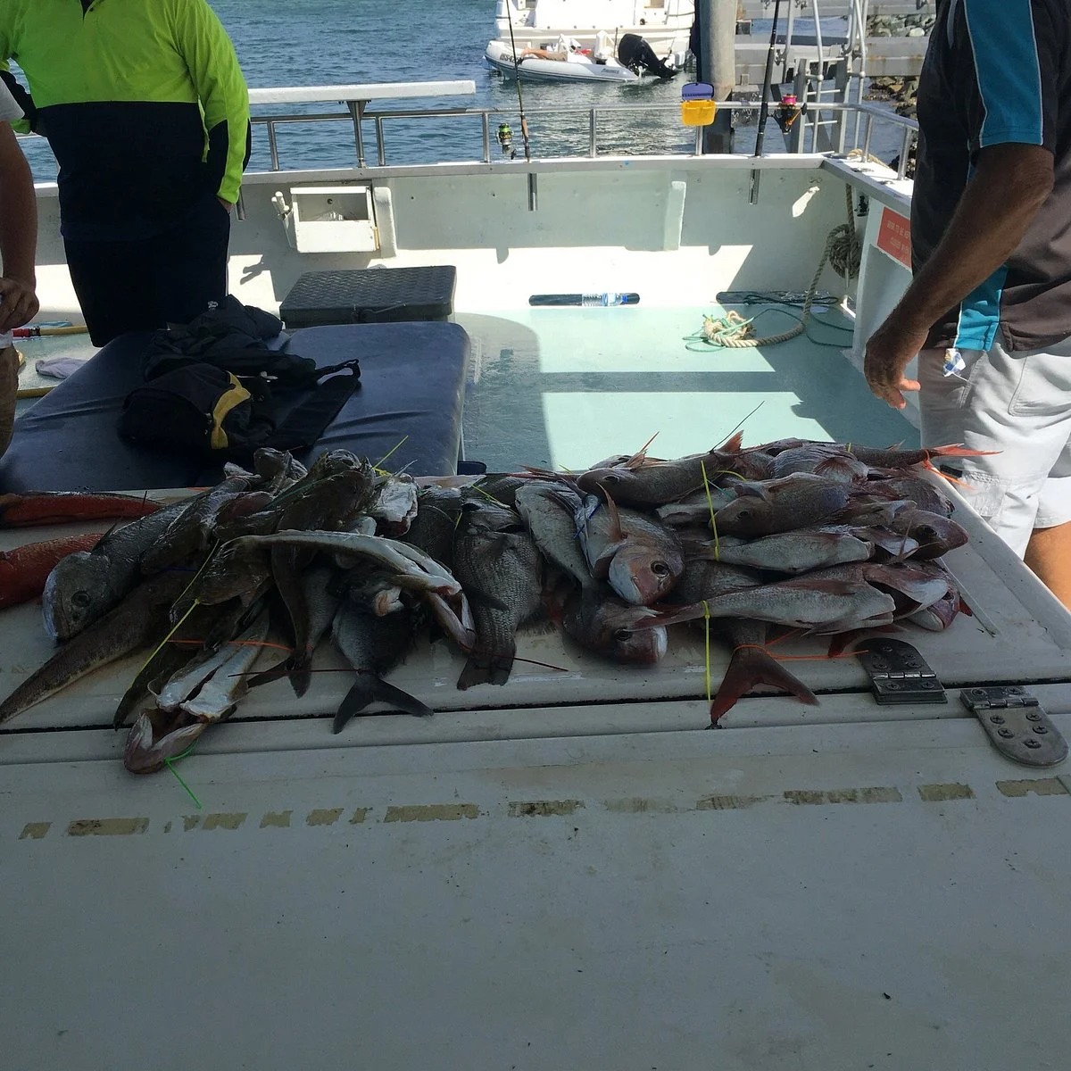 Reel Ocean Adventures