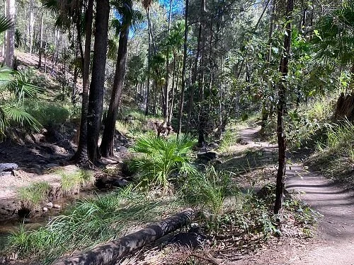 Mickey Creek Gorge walk