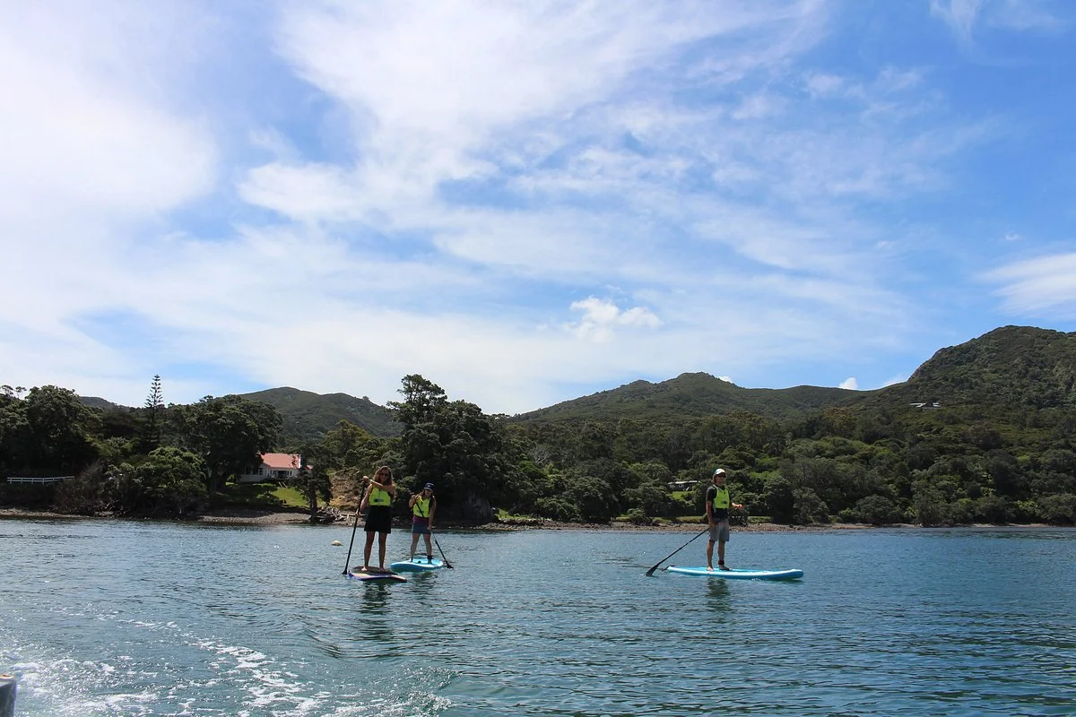 Paddles & Saddles