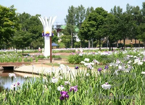Ayame Park Fureaikan